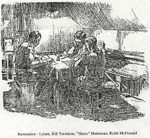 Ravenshoe, Queensland